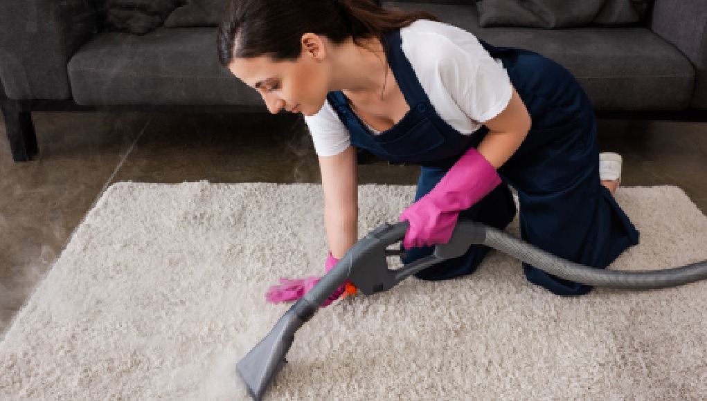 Halı Yıkama Makinesi