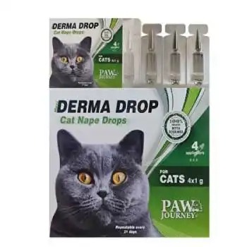 Paw Journey Kedi Pire Damlası